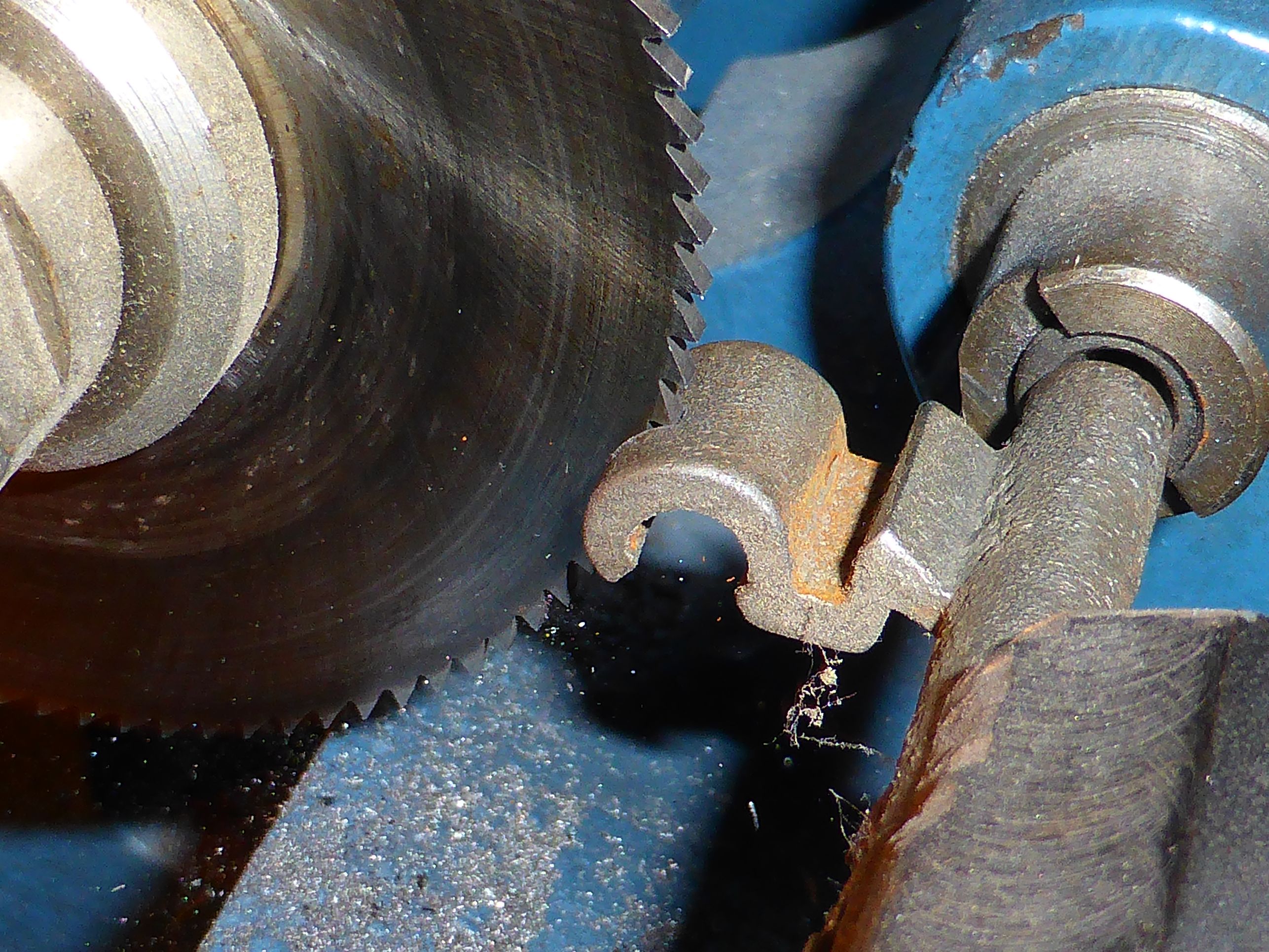 Bilder Basilisk-Schlüsselservice