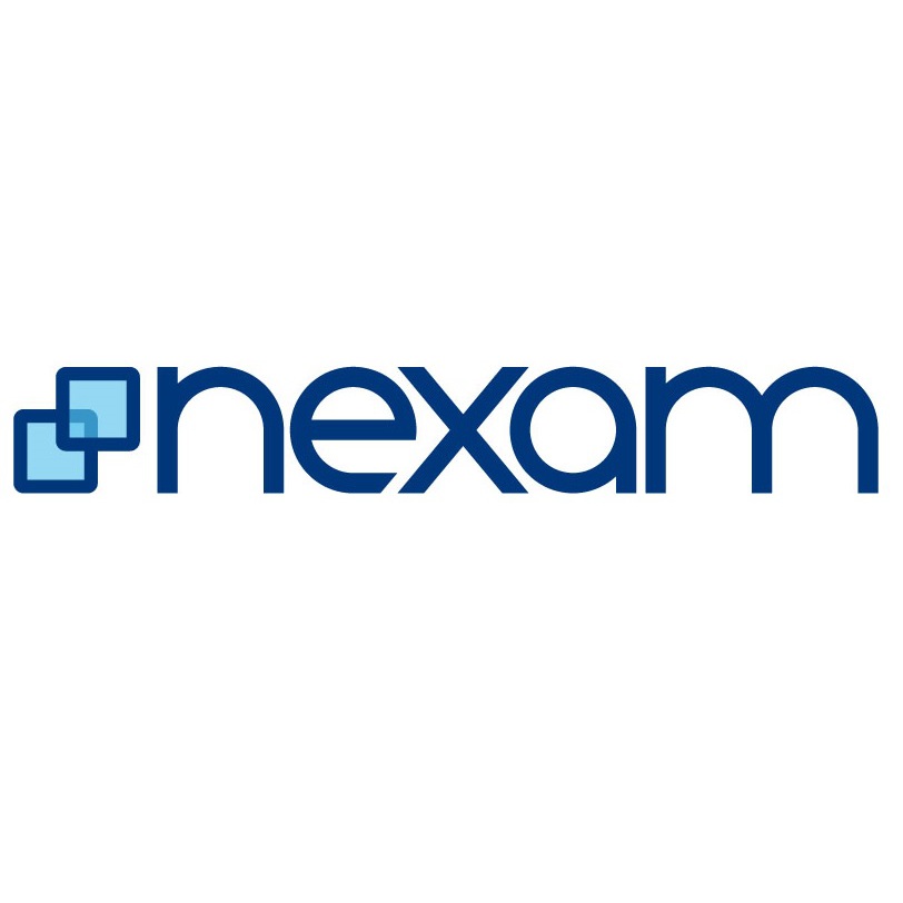 nexam IT AG Logo
