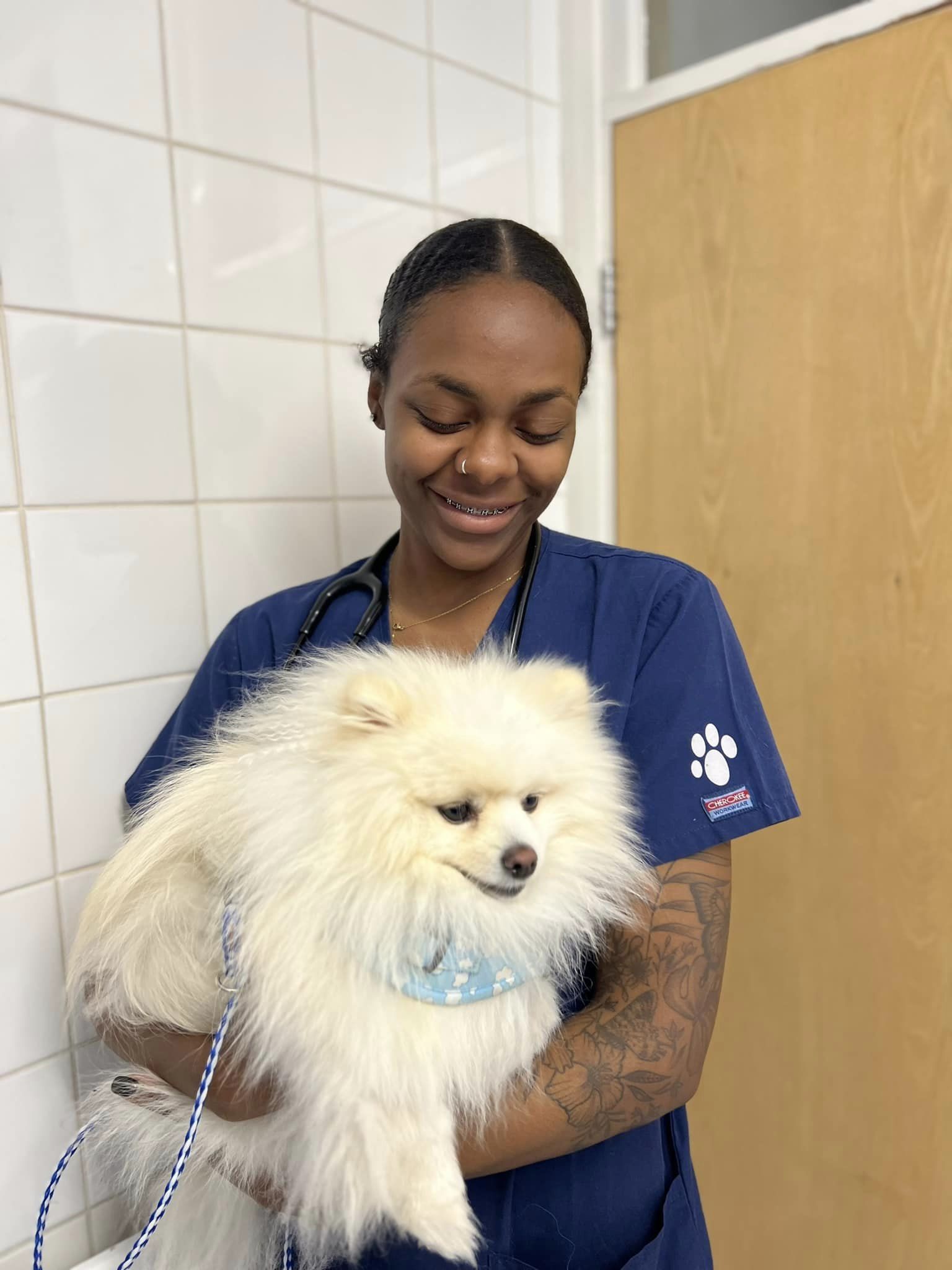 Images Streatham Hill Veterinary Surgery
