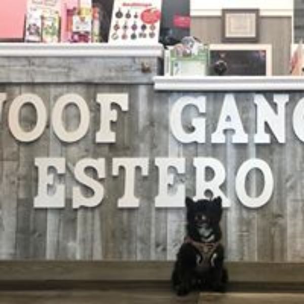 Woof Gang Bakery & Grooming Estero Photo