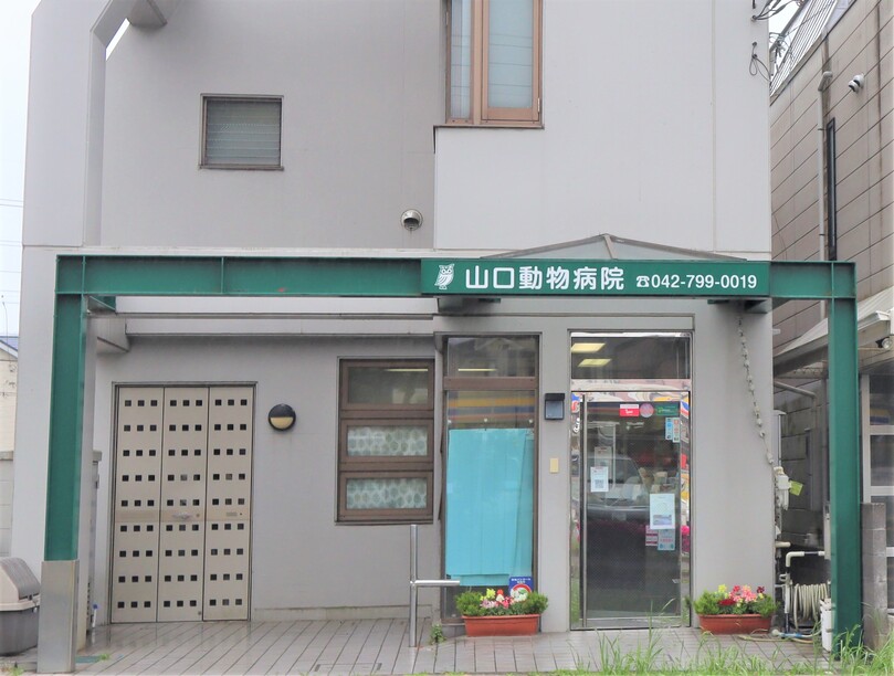 Images 山口動物病院