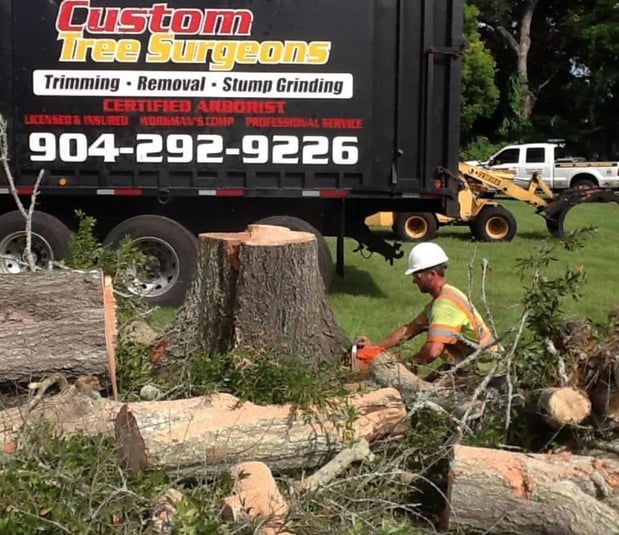 Images Custom Tree Surgeons