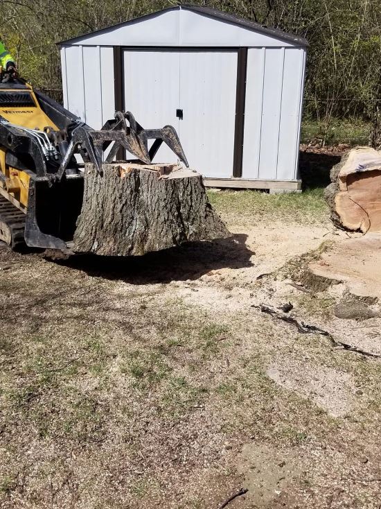 Tree stump removal from GAD Tree Experts in Dayton, OH.