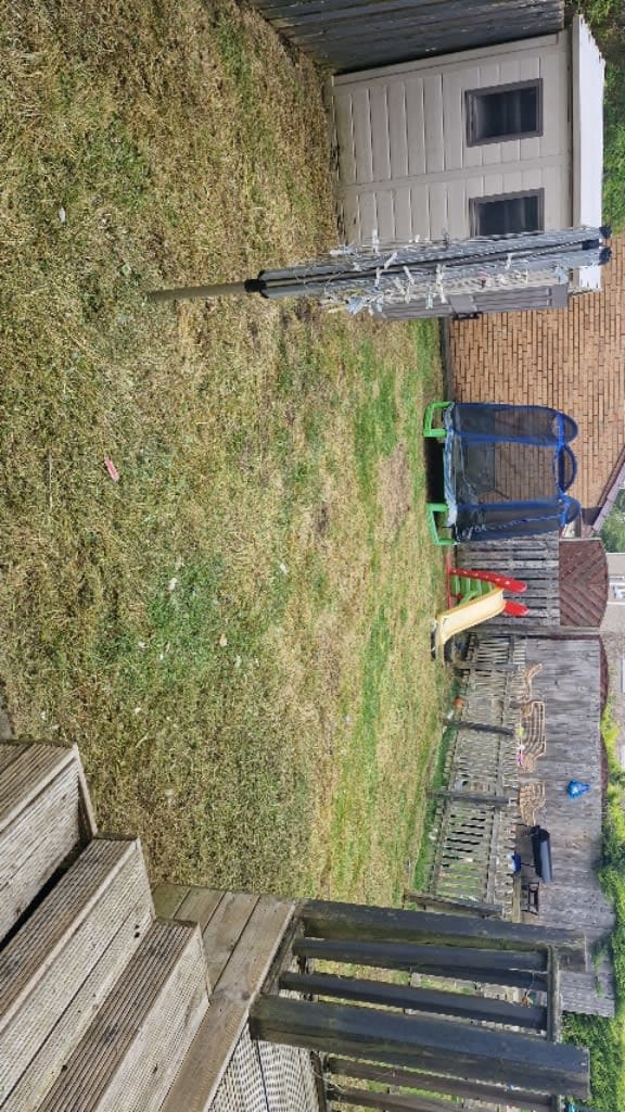 Images Green Acres