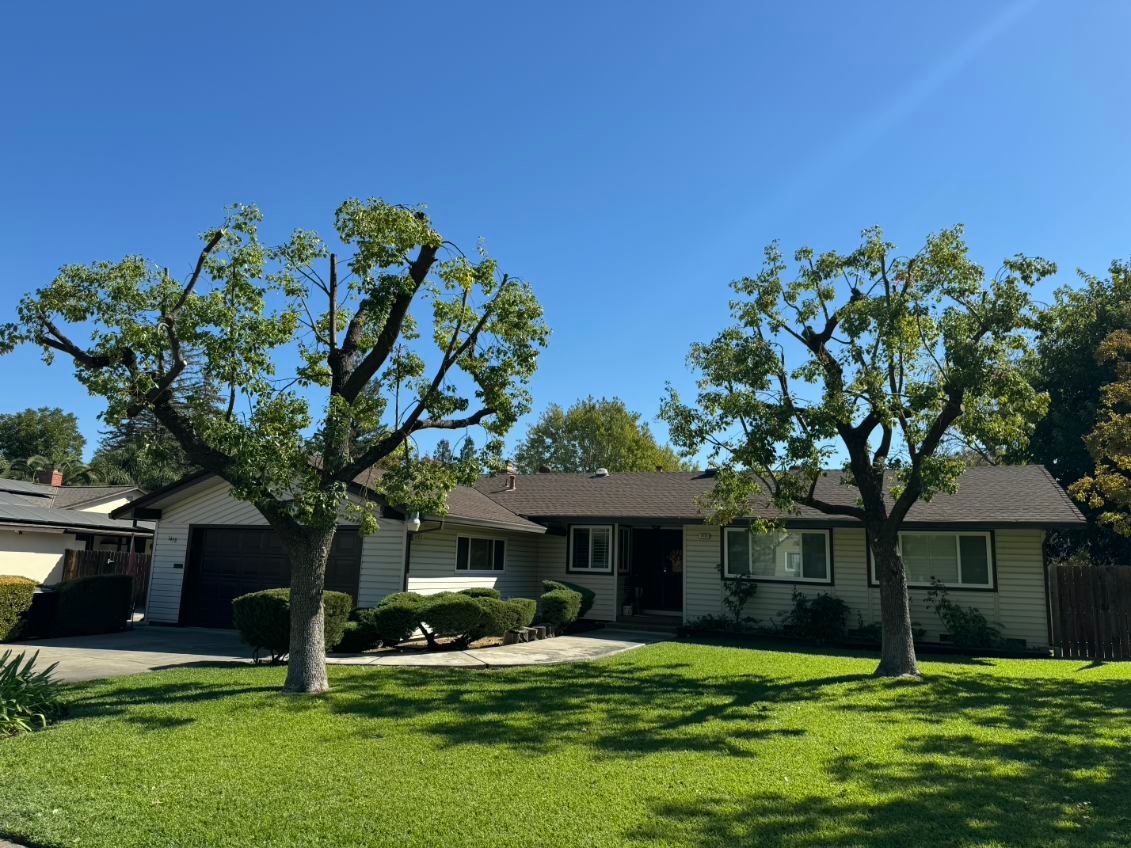 A single story suburban house with neatly trimmed front lawn and two pruned trees stands under clear blue sky, showcasing well maintained landscaping and residential curb appeal.