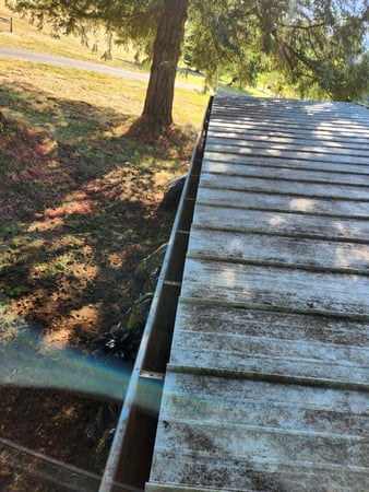 Images NJM Roof & Gutter Cleaning