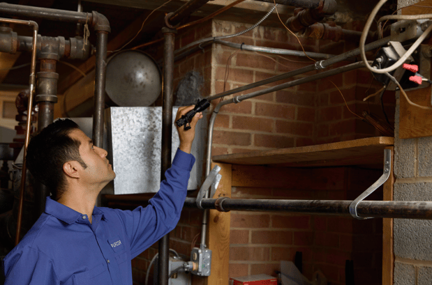Images PURCOR Pest Solutions