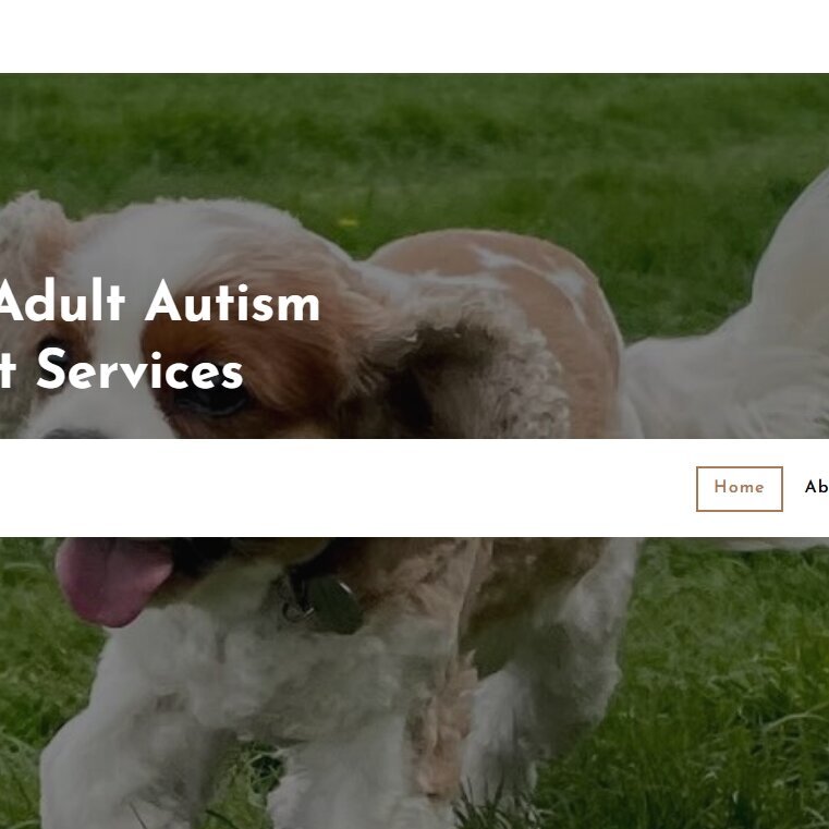 Images Quintissimo Adult Autism Assessment