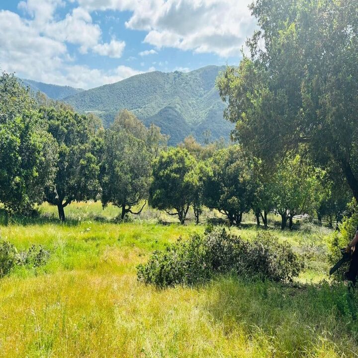 Images Xtreem Landscape LLC