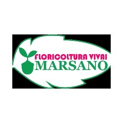 Vivai Marsano Paolo Logo