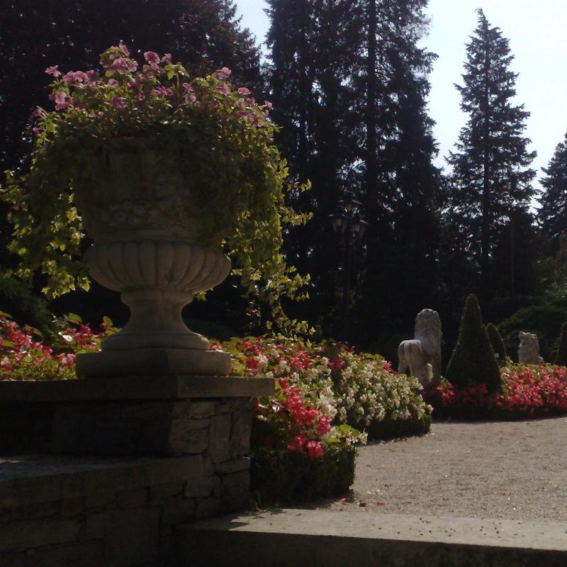 Images Dido' Floricoltura