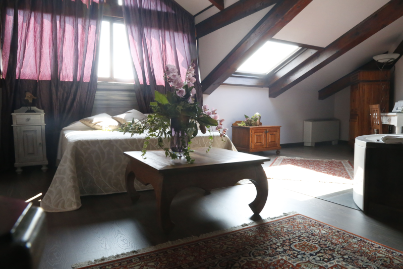 Images Hotel Damian