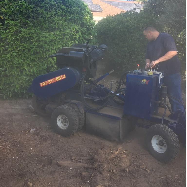 Asap Stump Removal & Tree Service