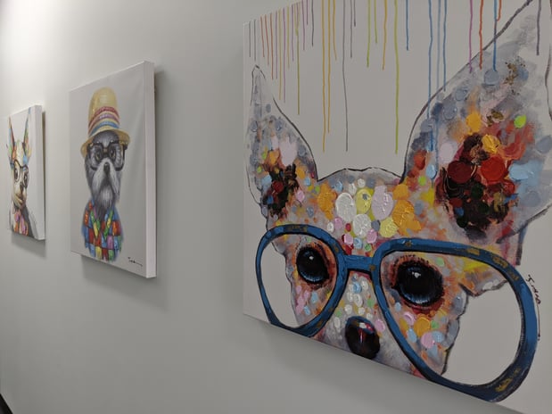 Images Eyes On Norbeck