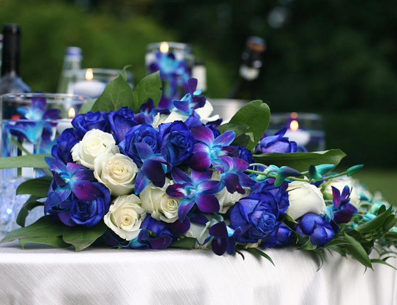 Images Non Solo Fiori