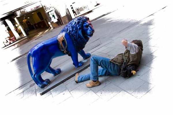 Bilder Fichtner Fotodesign