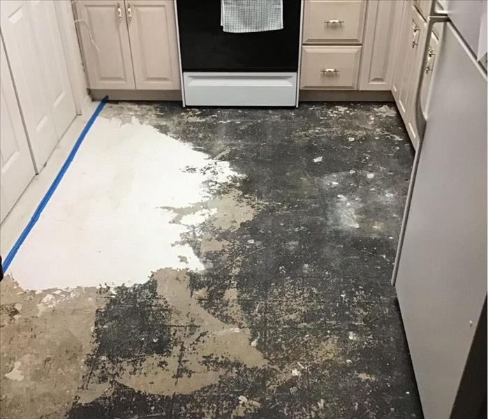 Holbrook Water Damage in a Kitchen