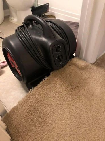 Images East Coast Carpet Care, Inc