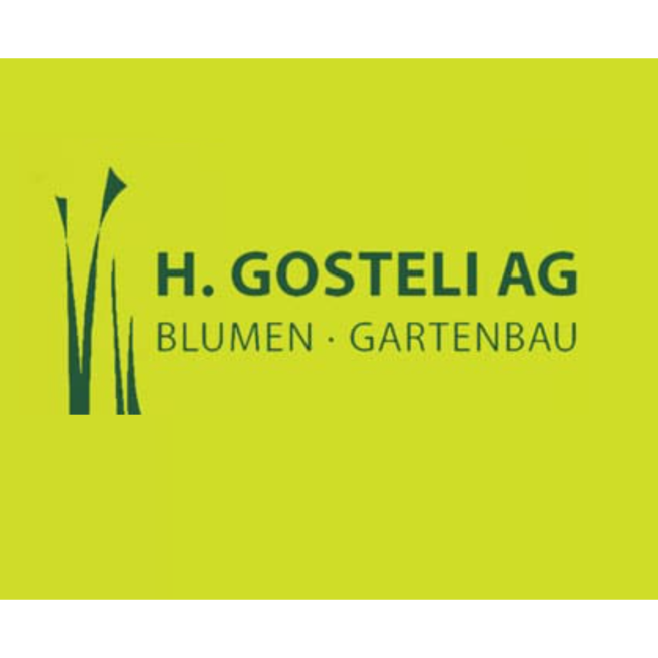 H. Gosteli AG Logo