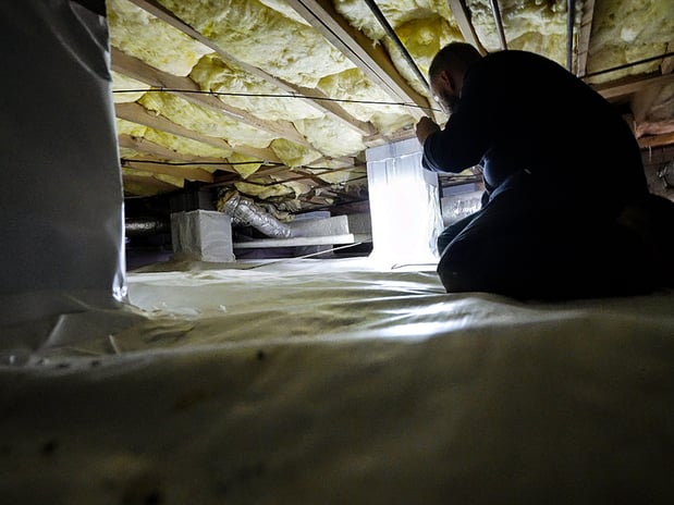 Images Pest Magic, LLC