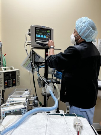 Images VCA SouthPaws Veterinary Specialists & Emergency Center