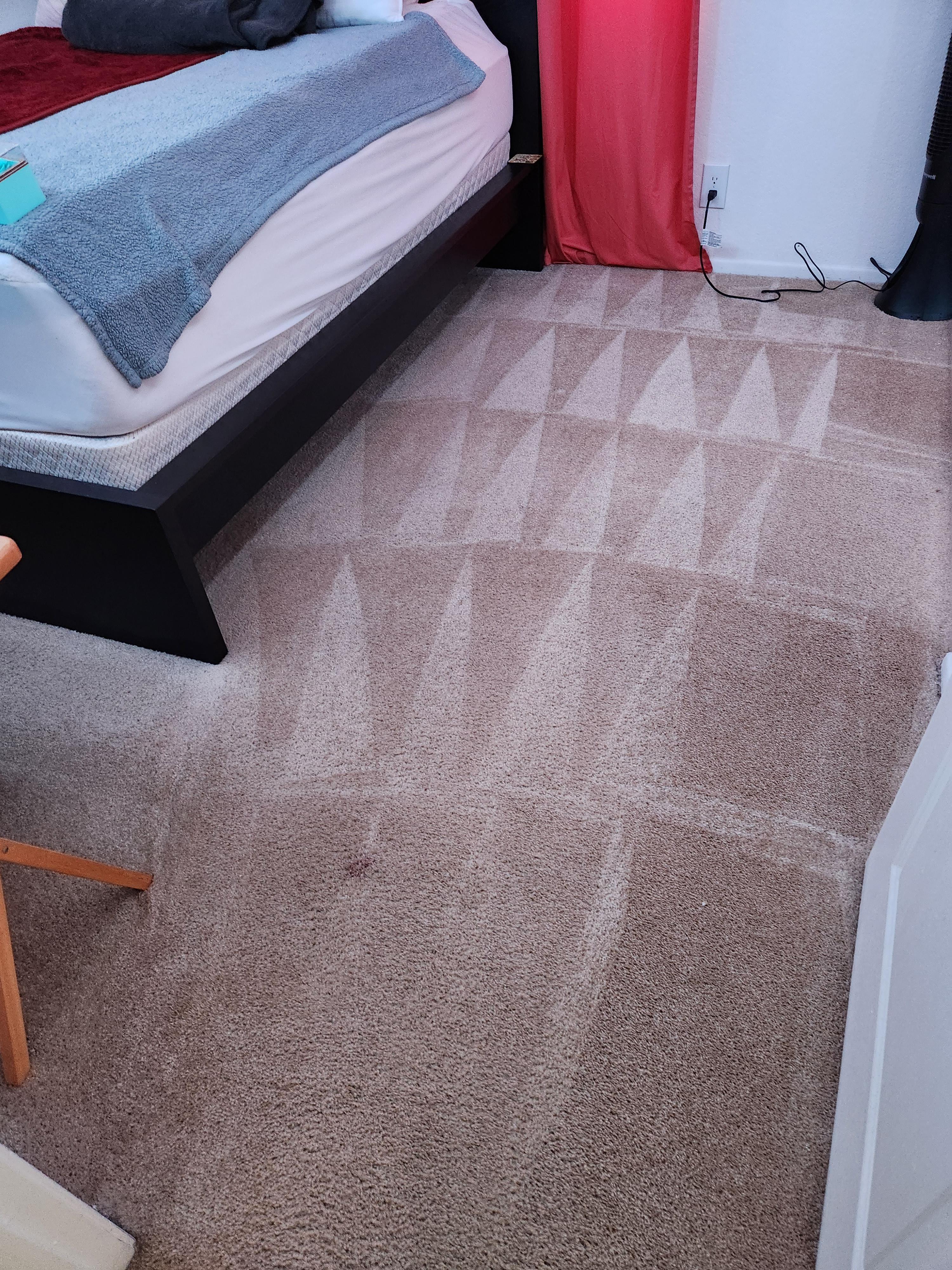 Arizmendi's Carpet Cleaning- carpet cleaning