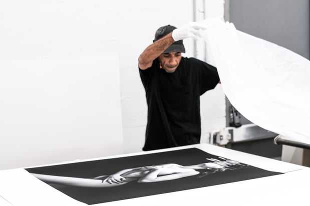 Images The Color House Miami