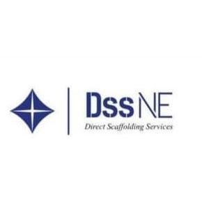 Direct Scaffolding Services Ne Ltd - Scaffolders Newcastle Logo