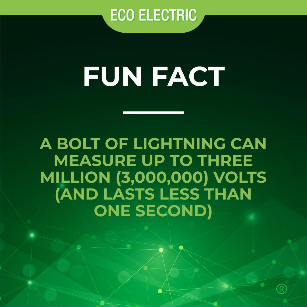 Image 9 | Eco Electric