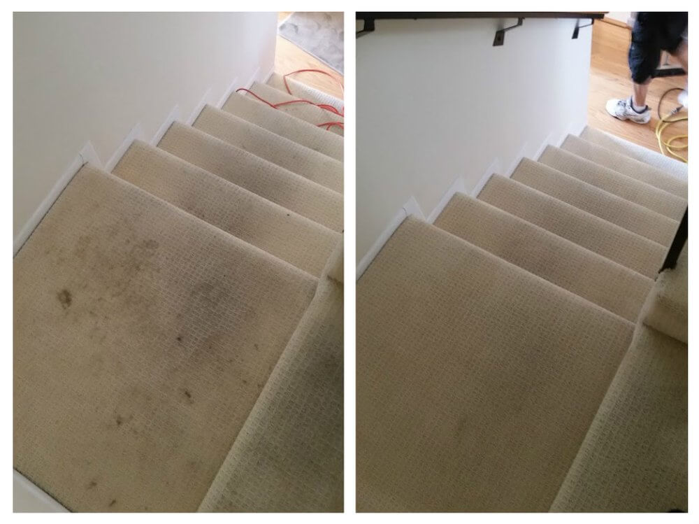 Before and after carpet cleaning in Laguna Niguel