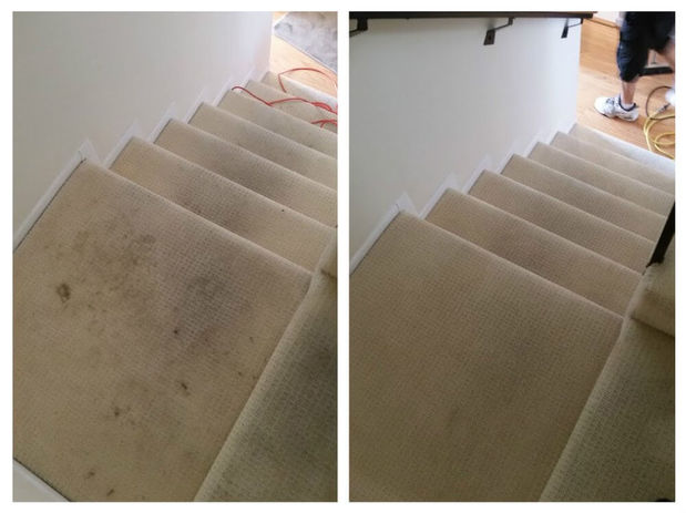Images Immaculate Home Chem-Dry