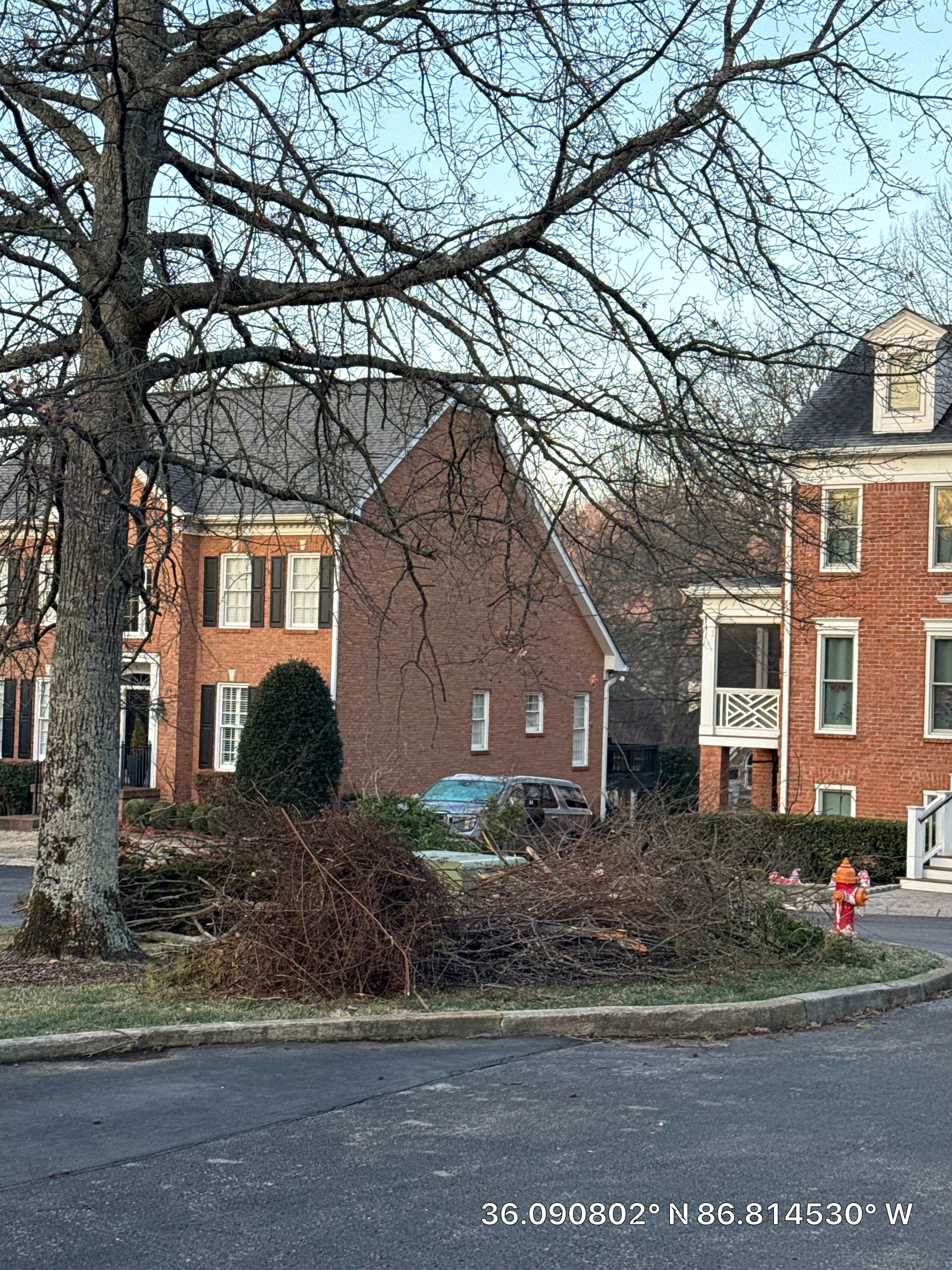 Tree Masters of Tennessee