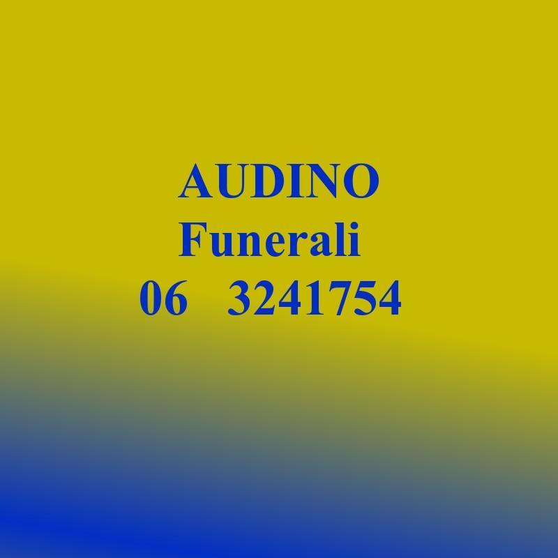Images Audino Funerali