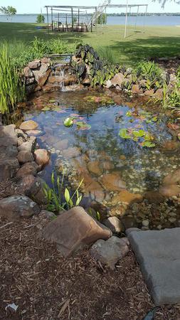 Images Dapper Ponds
