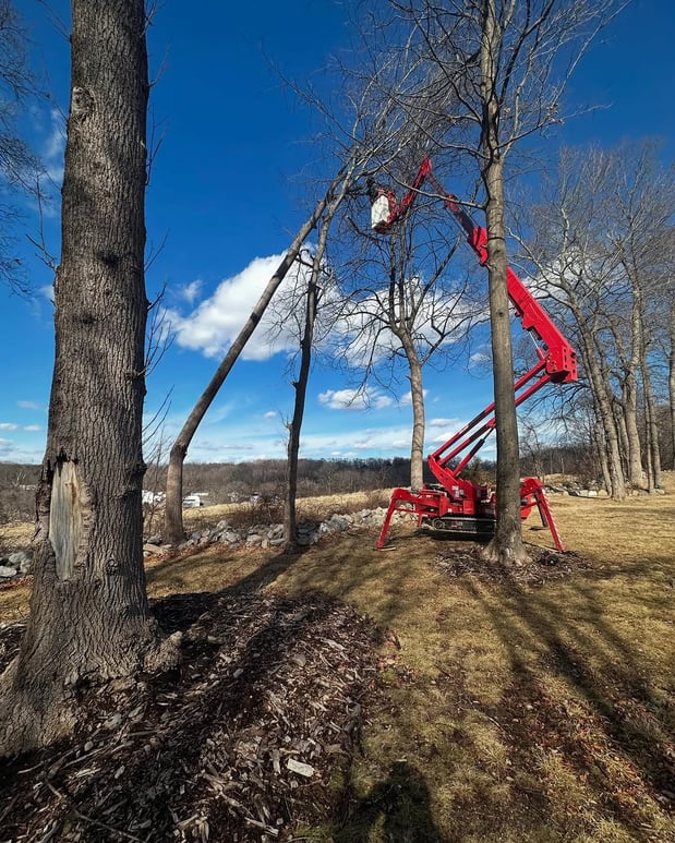 Images Friendly Tree Service Inc