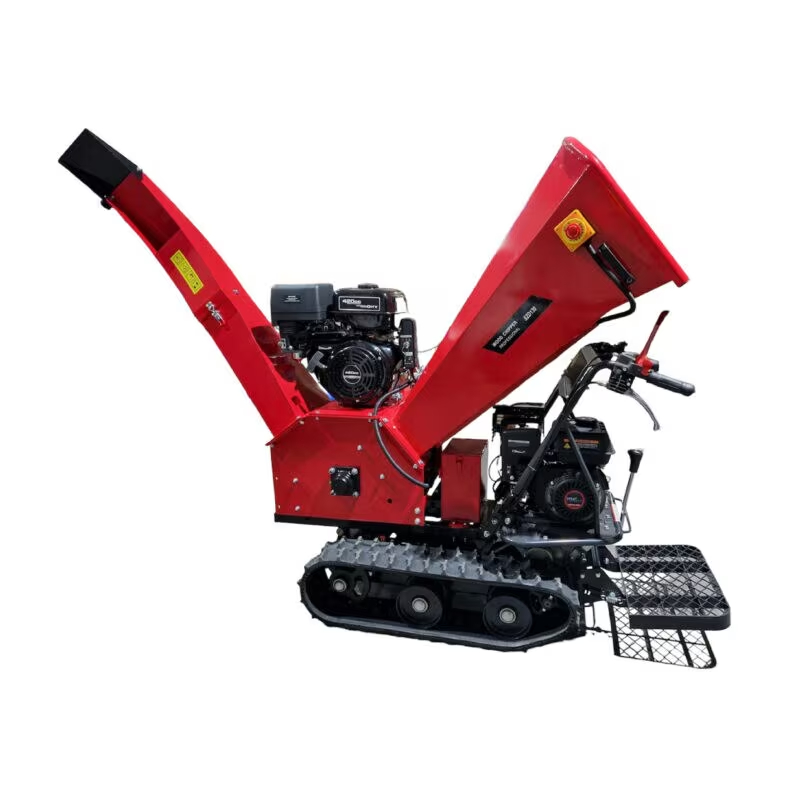 Images Sz Italia By Sicil Zappa