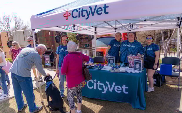 Images CityVet | Frisco Lexington