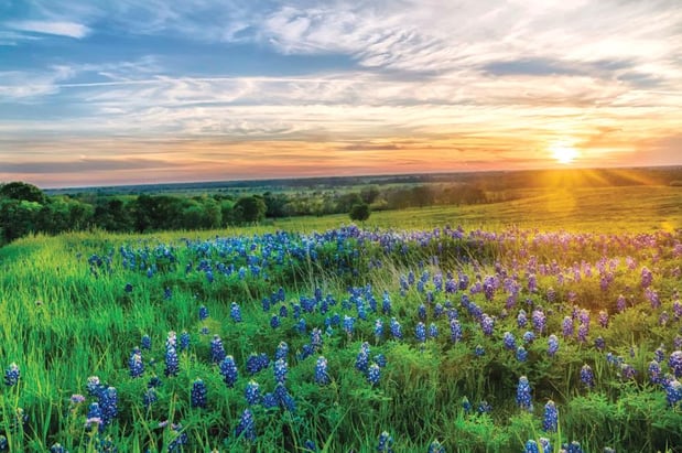 Images The Ranch at Uptown Celina