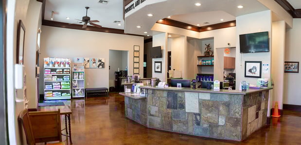 Images VCA Angel Animal Hospital