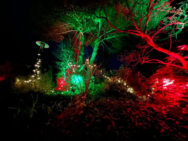 GPM Entertainment - DJ Münster Effektvolle Gartenbeleuchtung in Rot und Grün. Münster Eventtechnik für Hochzeiten, Firmenfeiern und exklusive Outdoor-Events.