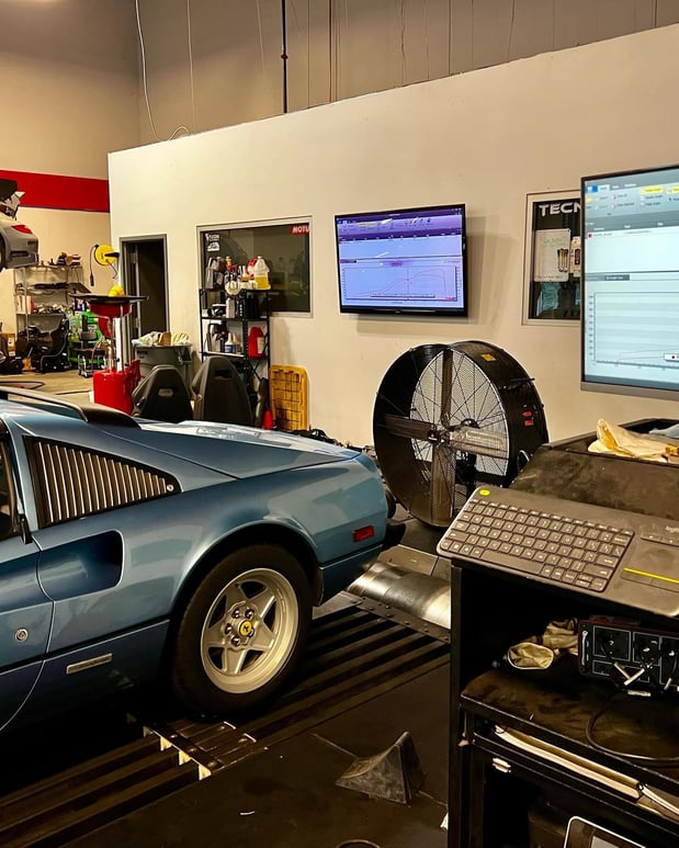 Images Loudoun County Exotics