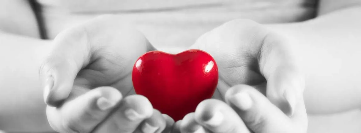 Images Cath Adams Counselling