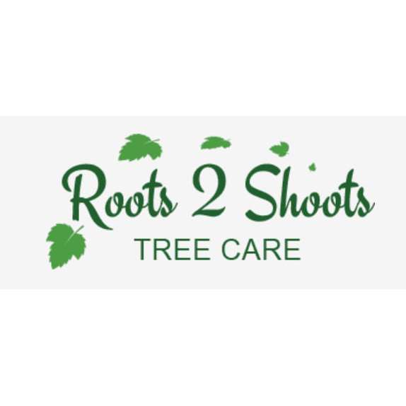 Roots 2 Shoots Tree Care - Reading, Berkshire RG2 9QN - 07880 336880 | ShowMeLocal.com