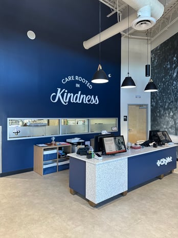 Images CityVet | Castle Hills Veterinary Clinic & Urgent Care