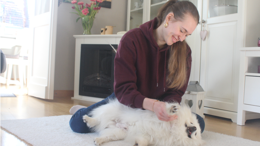 Tierphysio mit Franzi in Berlin