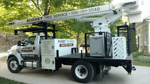 Images Budget Tree Service