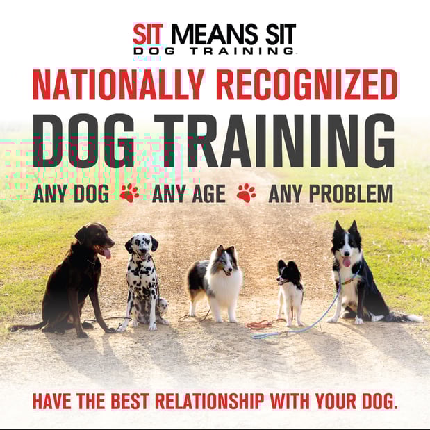 Images Sit Means Sit Cecil County Maryland Delaware