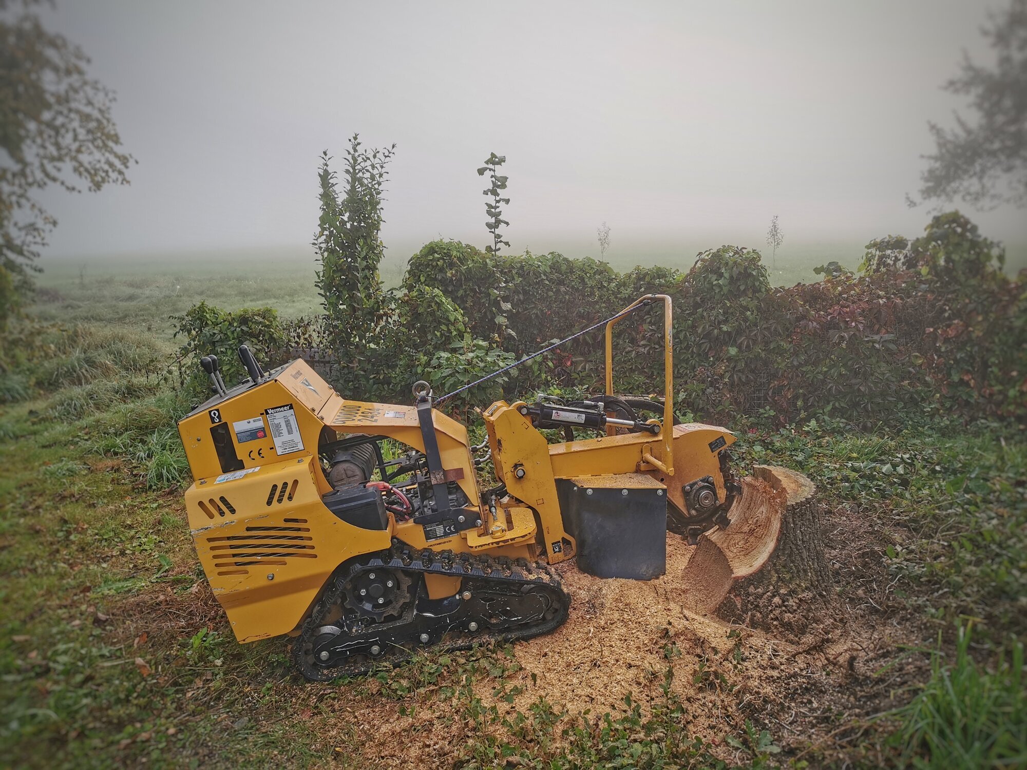 Baumstumpffräsen Tobias Baier, Mangfallstraße 16B in Bad Aibling