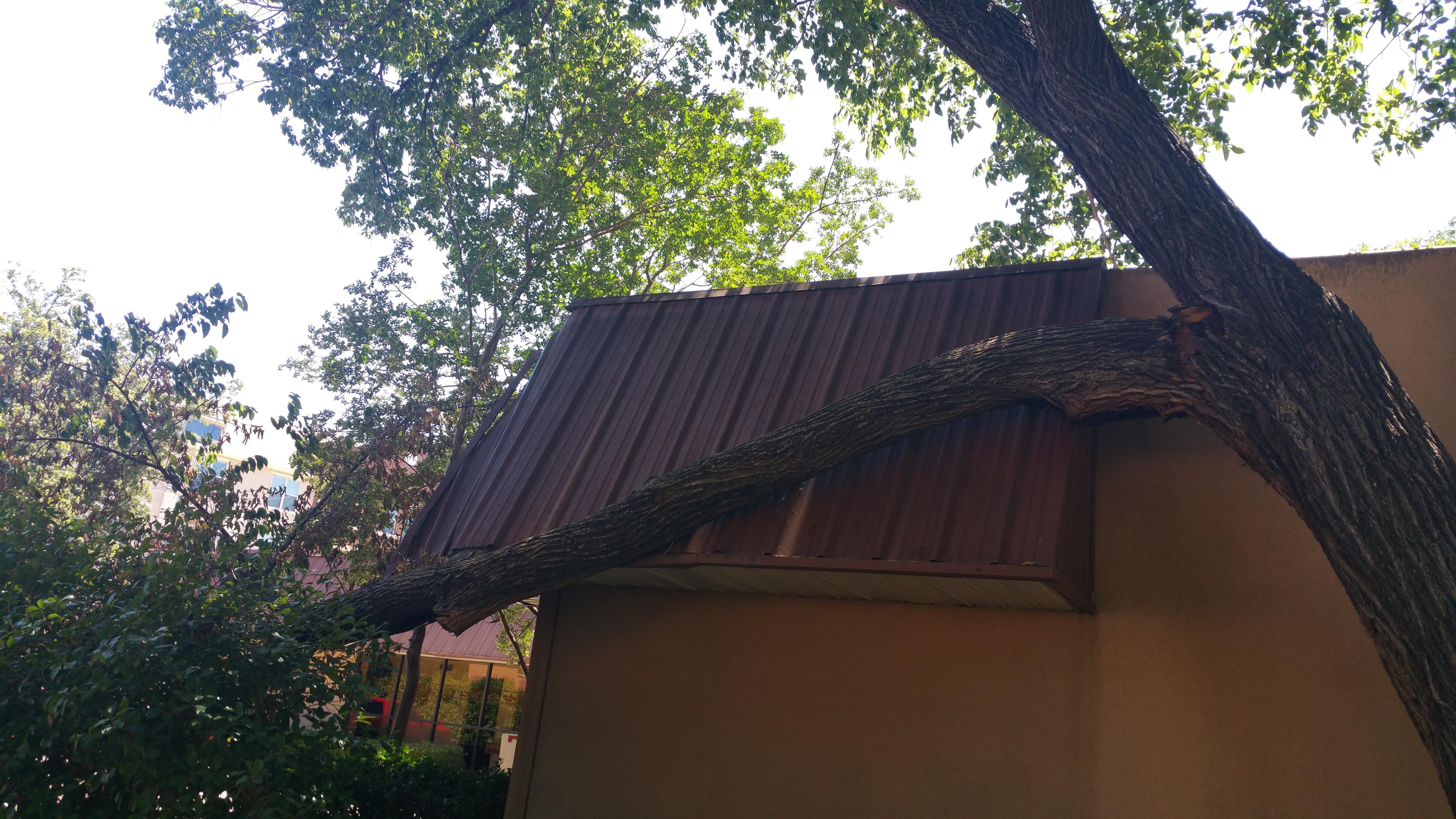 S&M Landscaping & Tree service