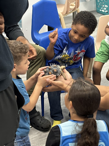 Images Cold Blooded Kingdom